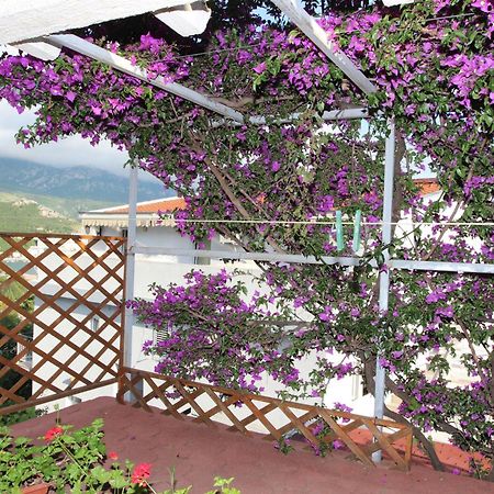 Apartment Sandra Budva Pokój zdjęcie