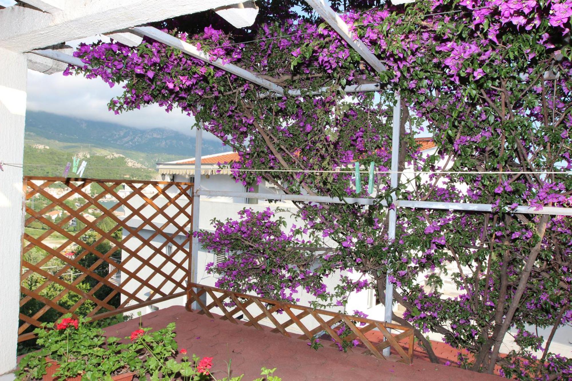 Apartment Sandra Budva Pokój zdjęcie
